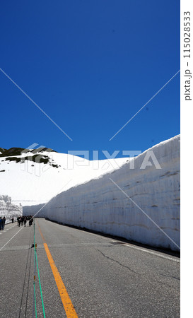 雪の大谷_立山黒部アルペンルート 雪の大谷_立山黒部アルペンルート 115028533