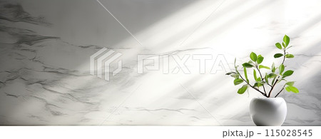 white marble background with plant in pot and shadow overlay 115028545