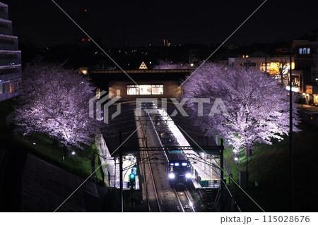 相鉄・弥生台駅の夜桜 20000系 相鉄・弥生台駅の夜桜 20000系 115028676