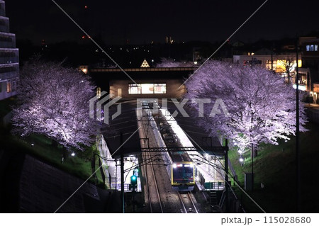 相鉄・弥生台駅の夜桜　東急5050系ヒカリエ号 115028680