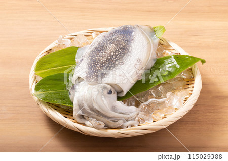 ［宮城県産］甲いか 115029388