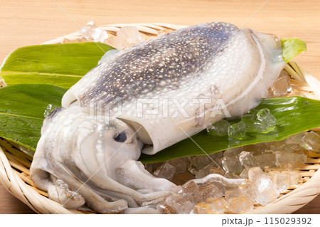 ［宮城県産］甲いか 115029392