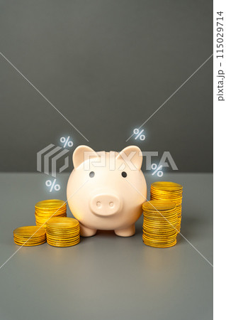 Saving money, piggy bank, coins and percentage symbols. Savings generate income. Interest growth. Saving money, piggy bank, coins and percentage symbols. Savings generate income. Interest growth. 115029714