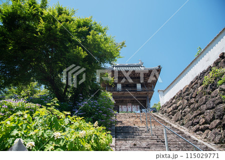 紫陽花が咲く頃の三光寺 紫陽花が咲く頃の三光寺 115029771