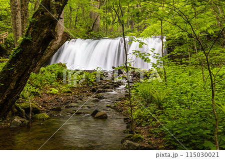 【青森県_奥入瀬川】初夏の銚子大滝 115030021