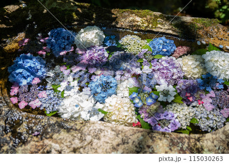 紫陽花が咲く頃の三光寺 紫陽花が咲く頃の三光寺 115030263