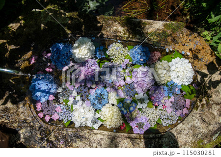 紫陽花が咲く頃の三光寺 紫陽花が咲く頃の三光寺 115030281
