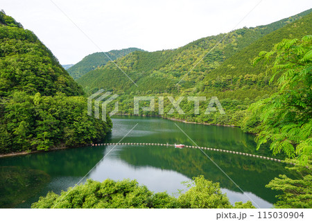 鷺里湖(山財ダム・愛媛県) 鷺里湖(山財ダム・愛媛県) 115030904