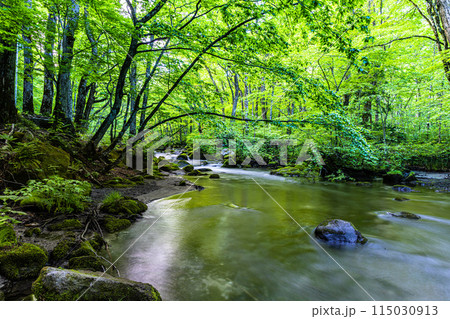 【青森県_奥入瀬渓流】初夏の三乱の流れ 115030913