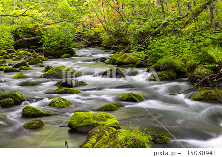 【青森県_奥入瀬渓流】初夏の三乱の流れ 115030941