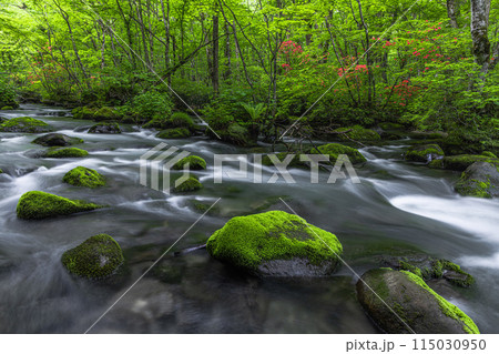 【青森県_奥入瀬渓流】初夏の三乱の流れ 【青森県_奥入瀬渓流】初夏の三乱の流れ 115030950
