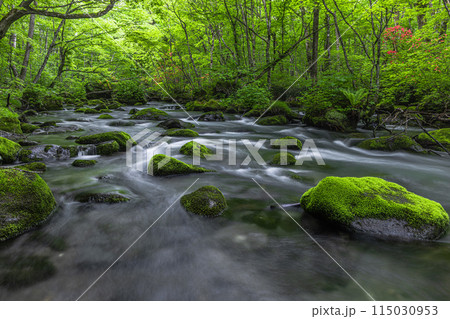 【青森県_奥入瀬渓流】初夏の三乱の流れ 115030953