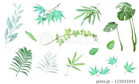 水彩の葉っぱのボタニカルな装飾イラストセット アイコン 白バック ベクター 水彩の葉っぱのボタニカルな装飾イラストセット アイコン 白バック ベクター 115031043