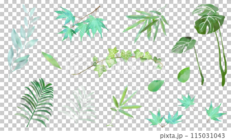 水彩の葉っぱのボタニカルな装飾イラストセット アイコン 白バック ベクター 水彩の葉っぱのボタニカルな装飾イラストセット アイコン 白バック ベクター 115031043