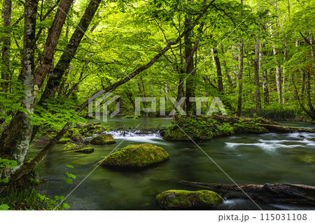【青森県_奥入瀬渓流】初夏の三乱の流れ 115031108