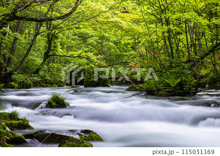 【青森県_奥入瀬渓流】初夏の三乱の流れ 115031169