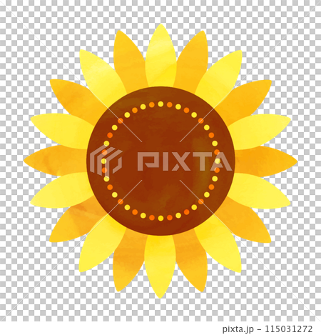 Vector illustration of a watercolor sunflower 115031272