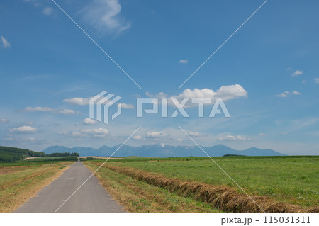 夏の畑作地帯と山並み 十勝岳連峰 夏の畑作地帯と山並み 十勝岳連峰 115031311