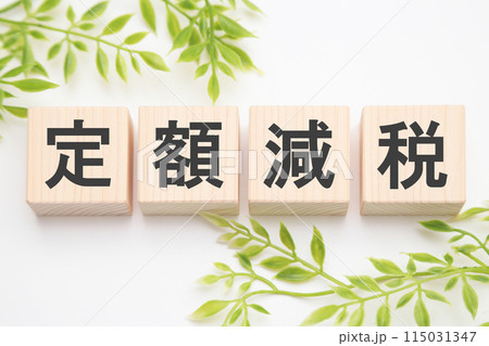 定額減税 115031347