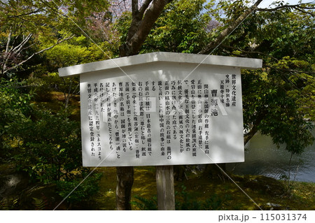 日本の春の京都 世界文化遺産の天龍寺 特別名勝の曹源池庭園 白い案内看板と美しい新緑と花びら 日本の春の京都 世界文化遺産の天龍寺 特別名勝の曹源池庭園 白い案内看板と美しい新緑と花びら 115031374