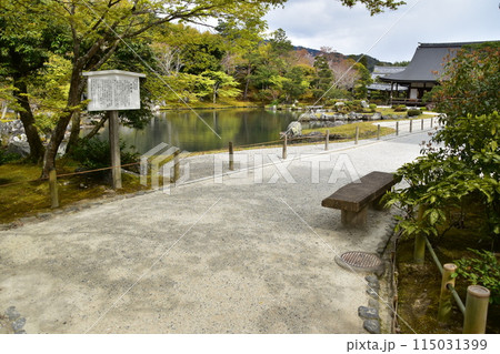 日本の春の京都　世界文化遺産の天龍寺　特別名勝の曹源池庭園　白い案内看板と美しい新緑と花びら 115031399