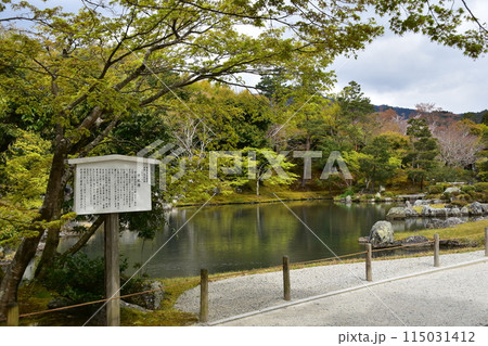日本の春の京都 世界文化遺産の天龍寺 特別名勝の曹源池庭園 白い案内看板と美しい新緑と花びら 日本の春の京都 世界文化遺産の天龍寺 特別名勝の曹源池庭園 白い案内看板と美しい新緑と花びら 115031412