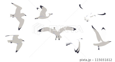 羽ばたくカモメさん【透過png素材】 羽ばたくカモメさん【透過png素材】 115031812