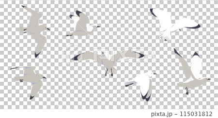 Flapping seagulls [transparent png material] 115031812