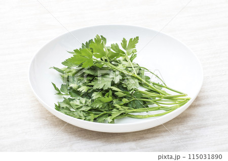 新鮮なイタリアンパセリ　緑黄色野菜　緑のハーブ　穫れたてのイタリアンパセリ　健康野菜　香味野菜 115031890