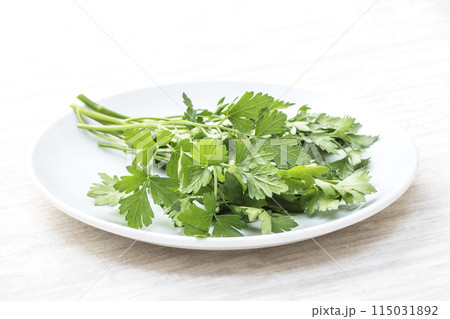 新鮮なイタリアンパセリ　緑黄色野菜　緑のハーブ　穫れたてのイタリアンパセリ　健康野菜　香味野菜 115031892