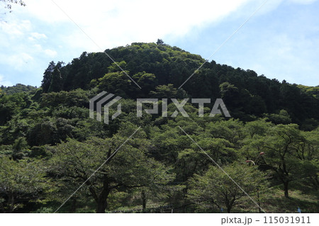 相模原 津久井湖城山公園 相模原 津久井湖城山公園 115031911