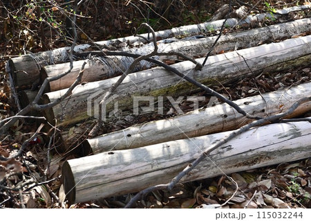 薪のイメージ(キャンプなどに) 115032244