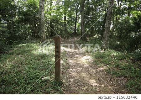 相模原 津久井湖城山公園 相模原 津久井湖城山公園 115032440
