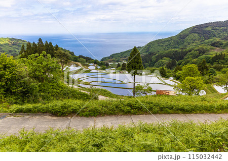 【新潟県・佐渡・岩首昇竜棚田】青い海と水鏡の棚田 5月 【新潟県・佐渡・岩首昇竜棚田】青い海と水鏡の棚田 5月 115032442