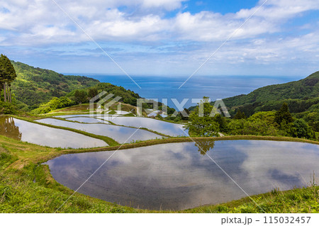 【新潟県・佐渡・岩首昇竜棚田】青い海と水鏡の棚田 5月 【新潟県・佐渡・岩首昇竜棚田】青い海と水鏡の棚田 5月 115032457