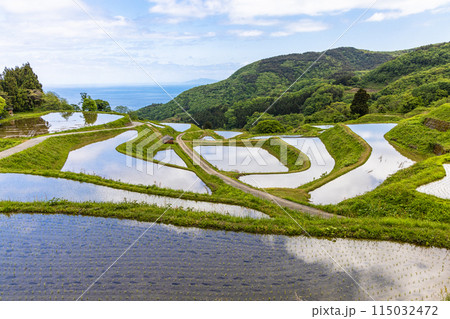 【新潟県･佐渡･岩首昇竜棚田】青い海と水鏡の棚田 5月 115032472