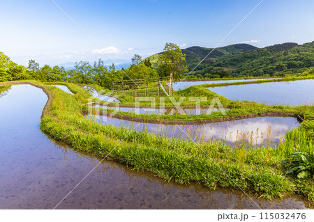 【新潟県･佐渡･岩首昇竜棚田】青い海と水鏡の棚田 5月 115032476