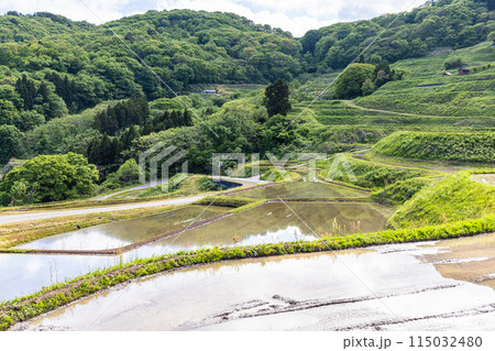 【新潟県･佐渡･岩首昇竜棚田】青い海と水鏡の棚田 5月 115032480