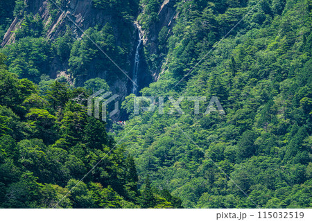 【日本の滝百選】長尾尾根展望所から望む夏の御来光の滝2 愛媛県上浮穴郡久万高原町 【日本の滝百選】長尾尾根展望所から望む夏の御来光の滝2 愛媛県上浮穴郡久万高原町 115032519
