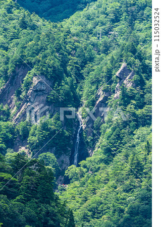 【日本の滝百選】長尾尾根展望所から望む夏の御来光の滝6　愛媛県上浮穴郡久万高原町 115032524