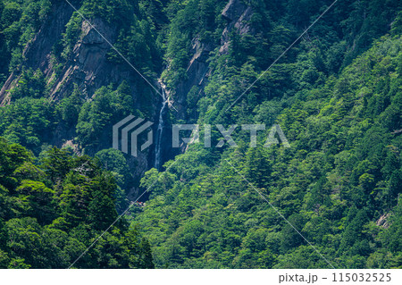 【日本の滝百選】長尾尾根展望所から望む夏の御来光の滝7　愛媛県上浮穴郡久万高原町 115032525