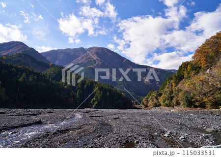 山梨県 大城川砂防ダム上流の紅葉 山梨県 大城川砂防ダム上流の紅葉 115033531