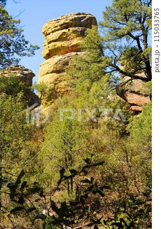 Chiricahua National Monument Arizona 115033765