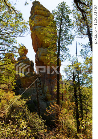 Chiricahua National Monument Arizona 115033767