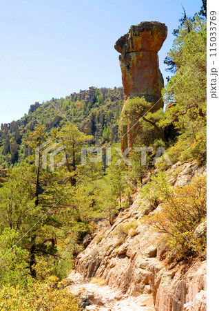 Chiricahua National Monument Arizona 115033769