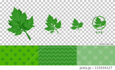Set of illustrations, icons and patterns of angelica. 115034127