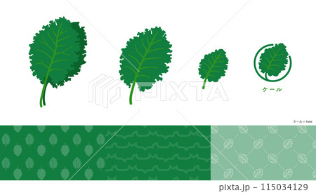 ケールのイラストおよびアイコンとパターンセット。 ケールのイラストおよびアイコンとパターンセット。 115034129