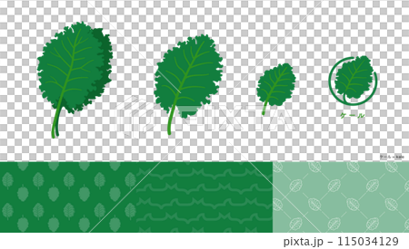 ケールのイラストおよびアイコンとパターンセット。 ケールのイラストおよびアイコンとパターンセット。 115034129