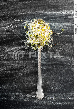 broccoli sprouts broccoli sprouts 115034303