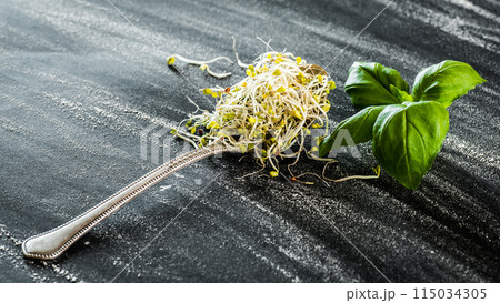 broccoli sprouts broccoli sprouts 115034305